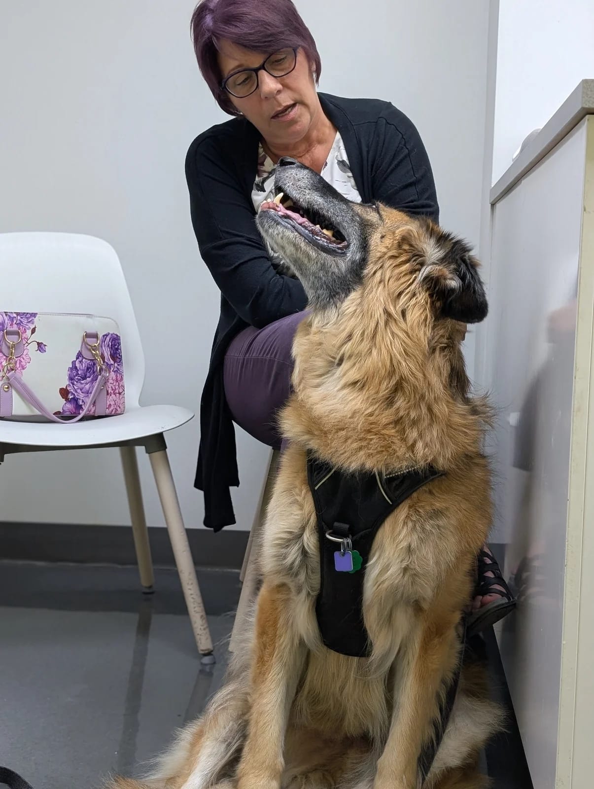 Mia looking up at Cheryl during a veterinary visit.